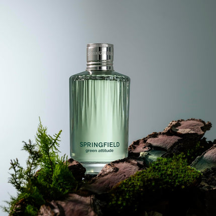 Springfield Green Attitude Eau de Toilette for Men Young and Casual Fragrance Aromatic and Woody Notes Ideal for Daily Use 100 ml 