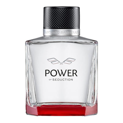 ANTONIO BANDERAS Power of Seduction Eau de Toilette Cologne for men 100 ml 