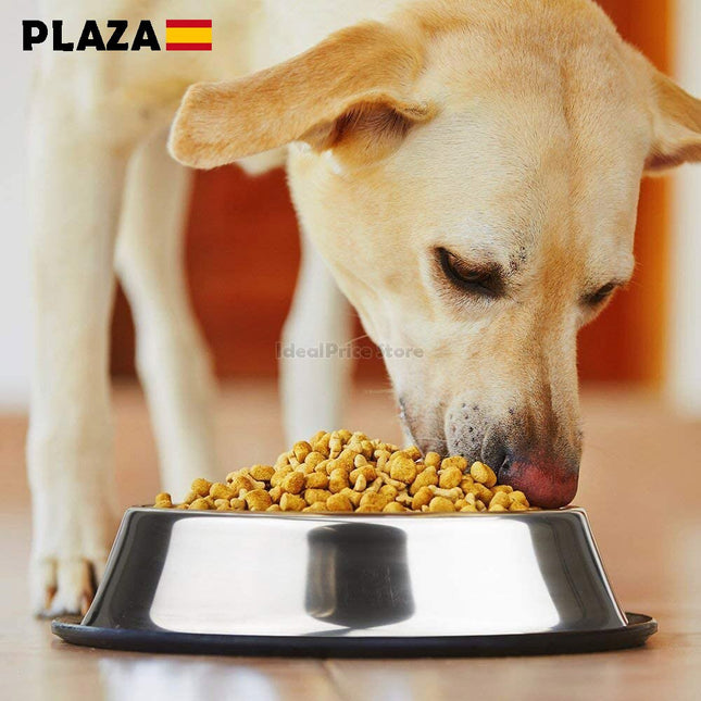 Dog Cat Pet Feeder Drinking Bowl Stainless Steel Feeder With Non-Slip Rubber Size SML XL Color Silver Chrome 